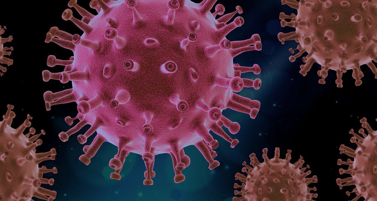 172 602 случая заражения коронавирусной инфекцией выявлено в регионе 