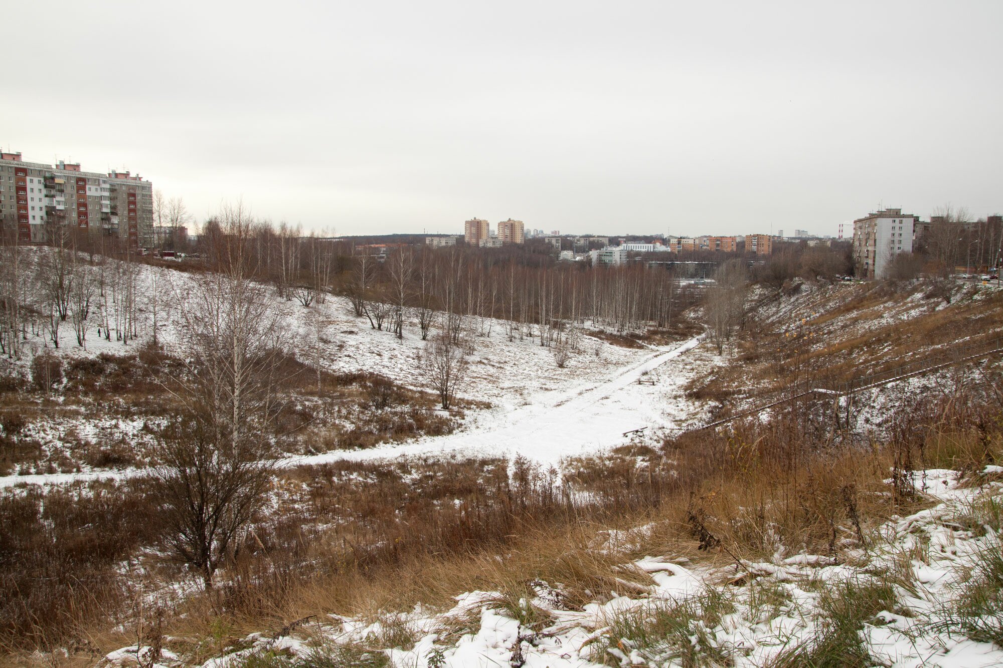 В Верхних Печерах создан попечительский совет Лопатинского оврага