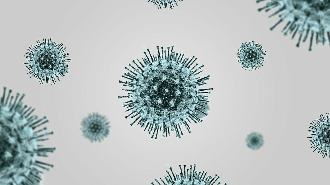 В регионе выявлено 189 613 случаев заражения коронавирусной инфекцией