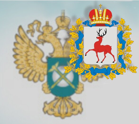Нижегородское УФАС 1к1