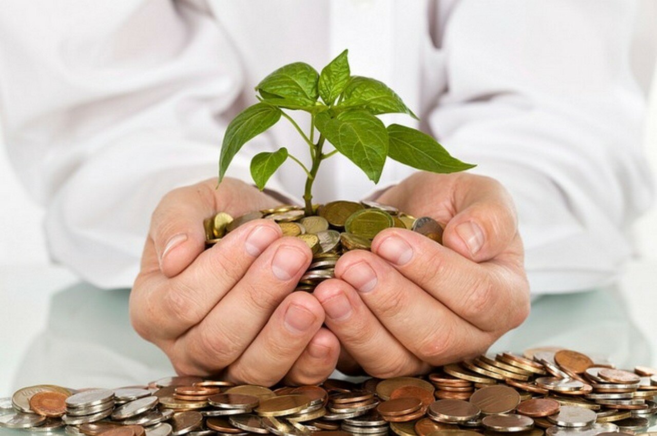 Источник фото: https://euro-pulse.ru/
